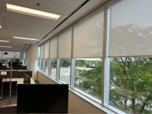 Roller shades installed in a commercial office