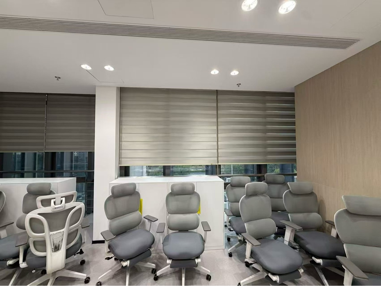 Manual zebra blinds in open-plan office